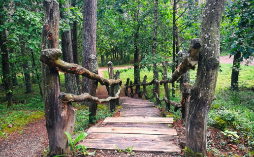 4_pazintinis takas2.jpg